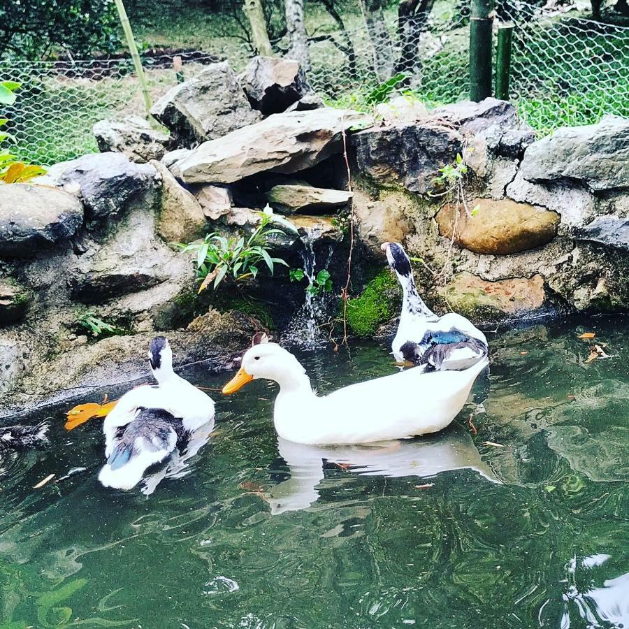 Отель Duck House Ла-Вега Экстерьер фото