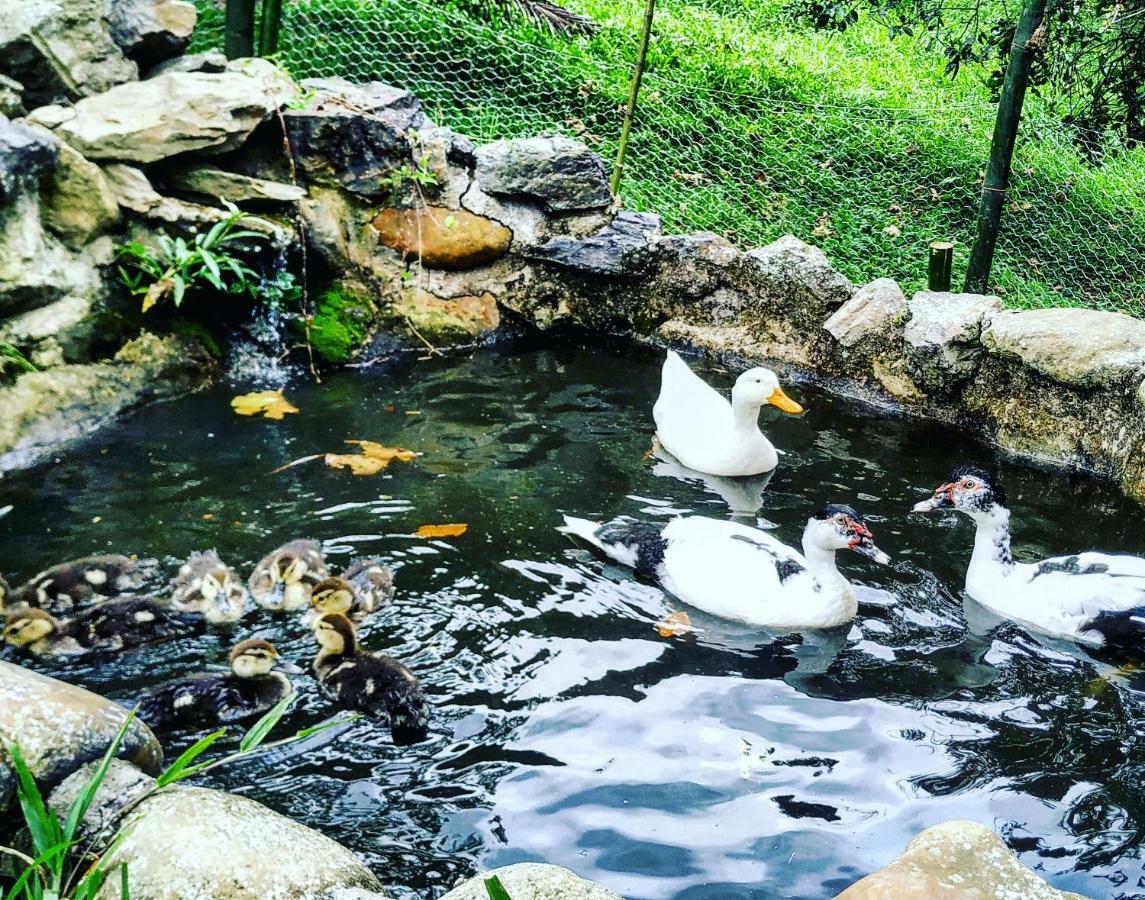 Отель Duck House Ла-Вега Экстерьер фото